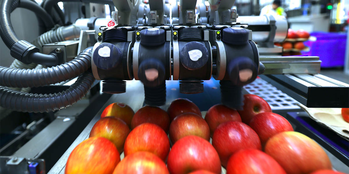 Etichette compostabili: Sinclair accelera la rivoluzione green nella frutta